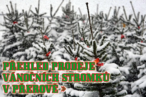 Klikněte pro zobrazení