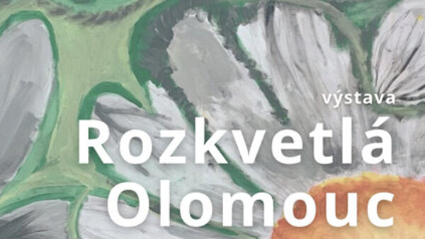 Rozkvetlá Olomouc