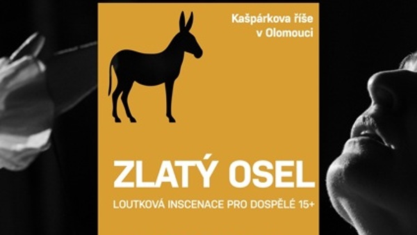 Zlatý osel