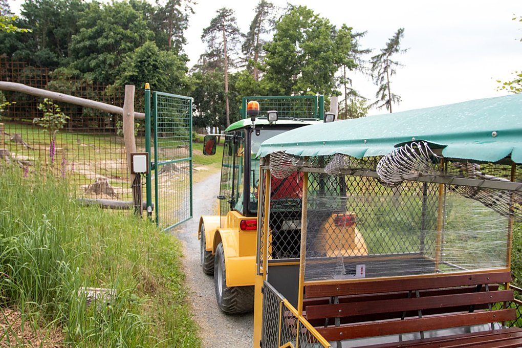 zoo olomouc safari vlacek